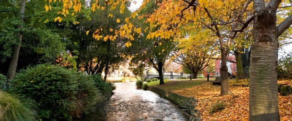 Check out the Christchurch Gardens in your campervan rentals and feel a uniquely New Zealand setting.